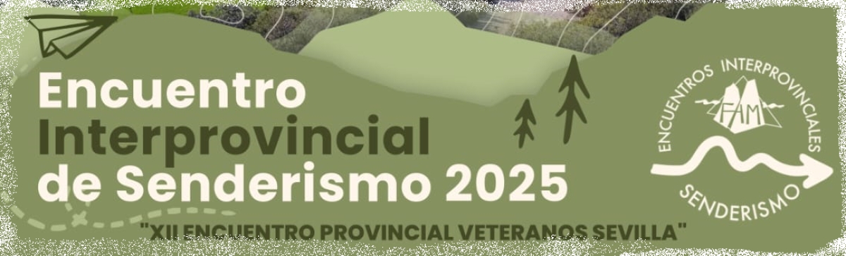 XI ENCUENTRO PROVINCIAL VETERANOS  SEVILLA